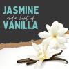 image:imageBrooke amp Jess Designs Thank You Candle Gifts  Scented Candles for Women Relaxing Gift Friendship Candle Coworker Best Friend Teacher Nurse Appreciation Stress Relief Her 8 ounceMom Definition